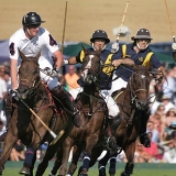 Photoscience - Polo and Wedding photographers in Hampshire Surrey and Sussex